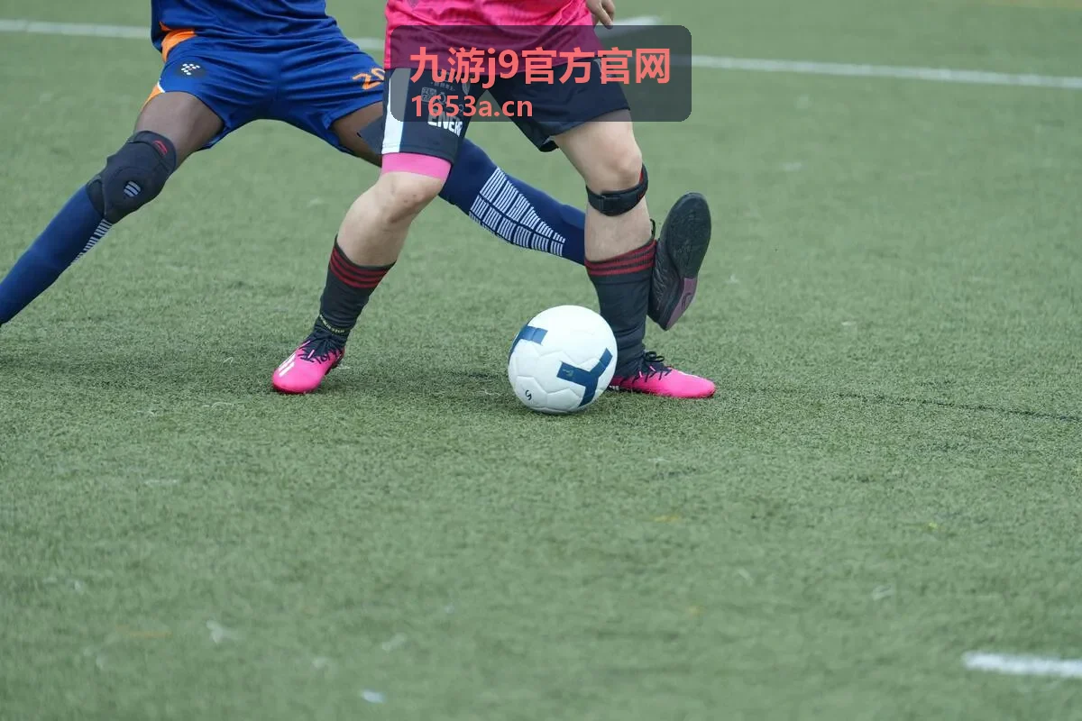 九游j9官方官网热门游戏专区长线养成节奏图