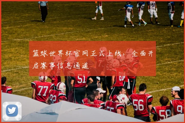 篮球世界杯官网正式上线，全面开启赛事信息通道