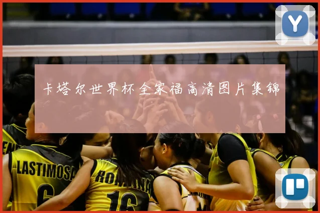 卡塔尔世界杯全家福高清图片集锦