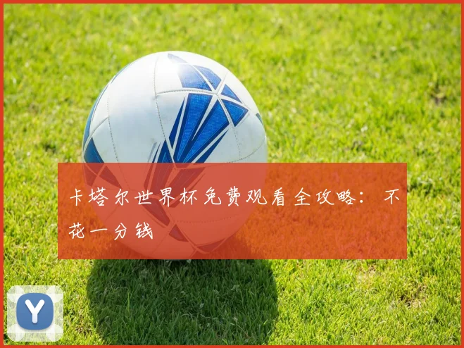 卡塔尔世界杯免费观看全攻略：不花一分钱