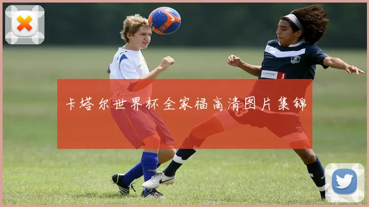 卡塔尔世界杯全家福高清图片集锦