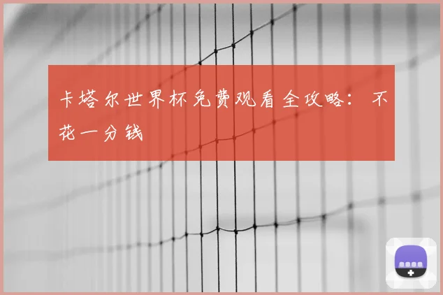卡塔尔世界杯免费观看全攻略：不花一分钱