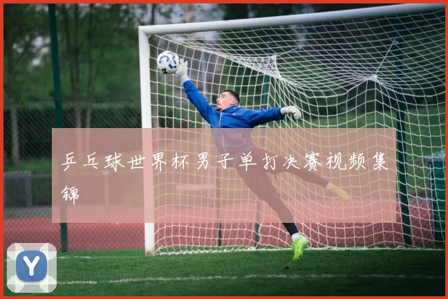 乒乓球世界杯男子单打决赛视频集锦