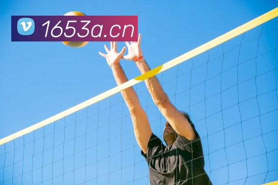 hth官方网APP 封面图